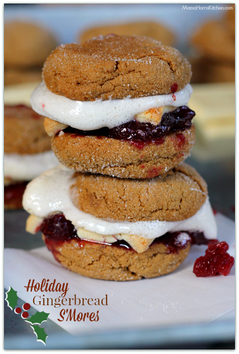 Holiday Gingerbread S’Mores