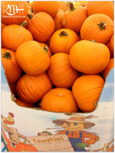Save Mart #FreshFinds Harvest Season Chicken Noodle Soup 3.1