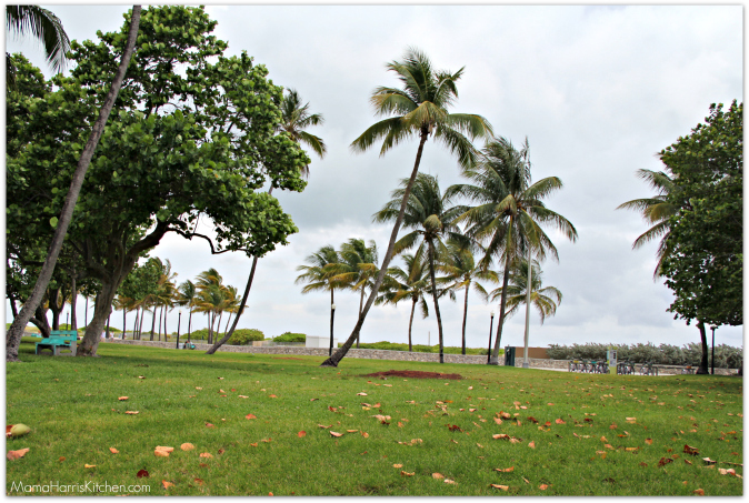 Miami Culinary Tours - South Beach REVIEW