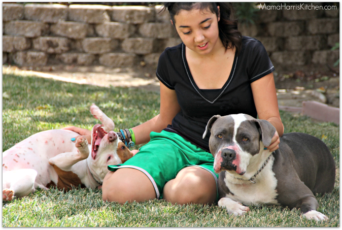 purina one 28 day challenge