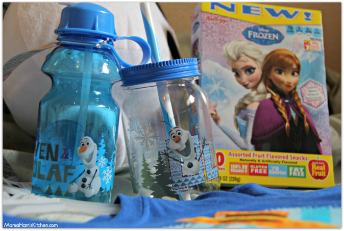 summer of frozen fun