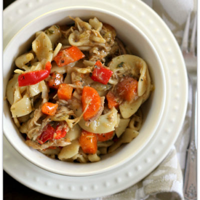 Savory Chicken Noodle Soup