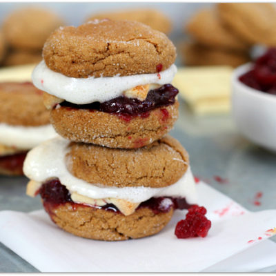 Holiday Gingerbread S’Mores
