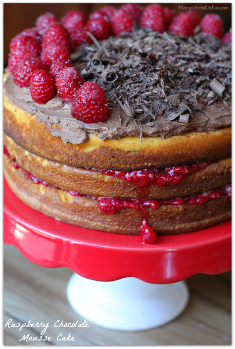 Raspberry Chocolate Mousse Cake